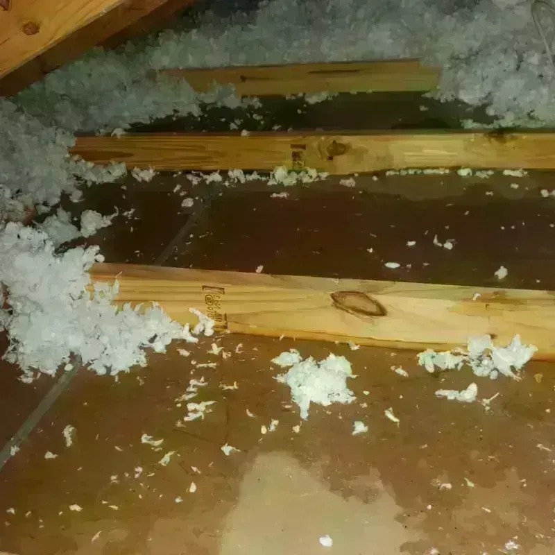 Attic Water Damage in Charleston, NY